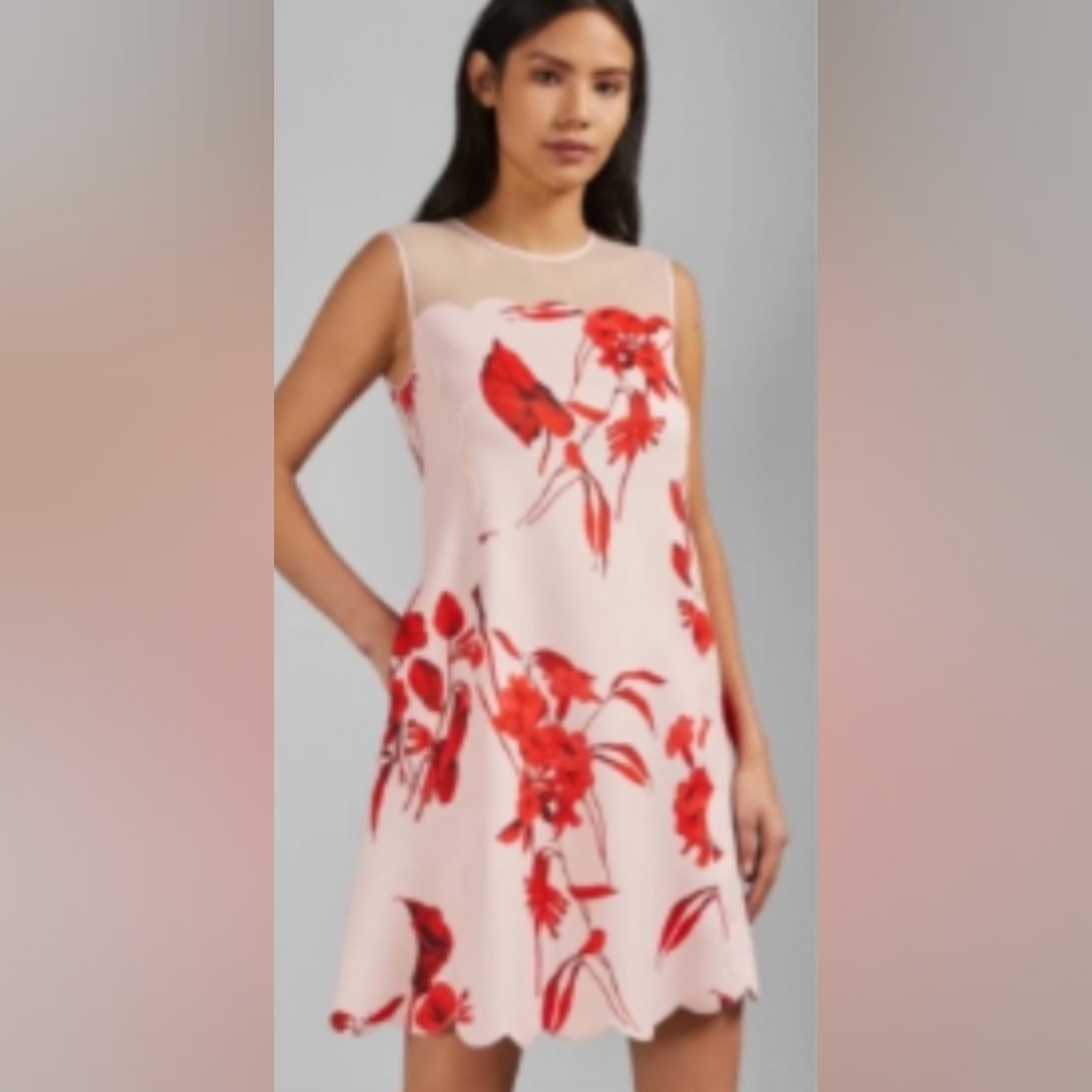 *NWOT Ted Baker Jaazmin Fantasia Women's Floral Scallop Shift Dress